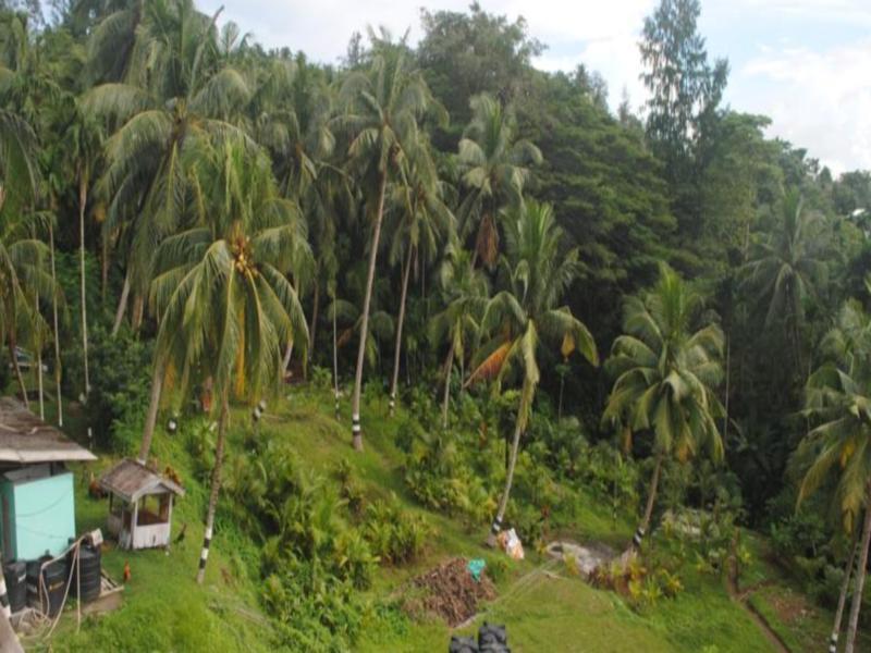 Andaman Galley Boutique Hotel พอร์ตแบลร์ ภายนอก รูปภาพ